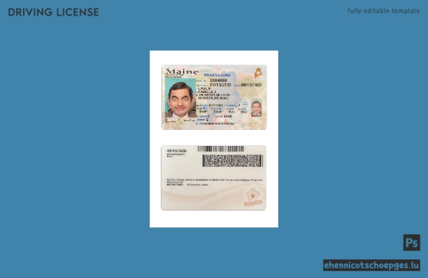 USA Maine Führerschein Beispielvorschau 2023-heute